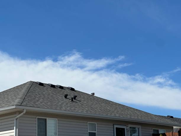 Emergency Roof Repair Services in Hackleburg, AL